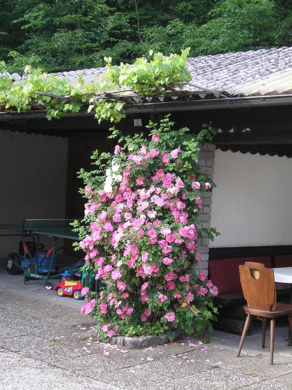 Pension Kasbergblick Scharnstein Exterior photo